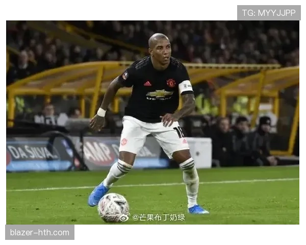 阿什利·扬传中能力解析 阿什利·扬传中能力解析